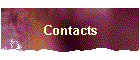 Contacts